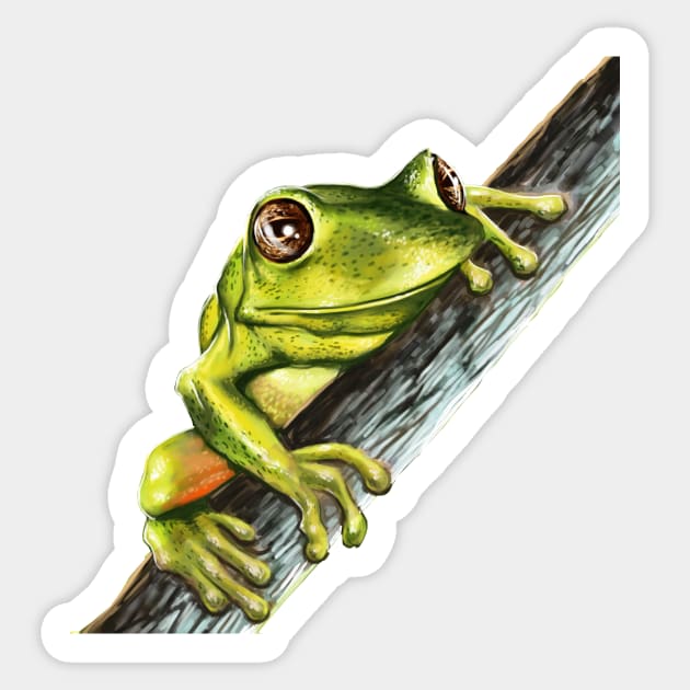 Green tree frog on a branch with big eyes Sticker by pickledpossums